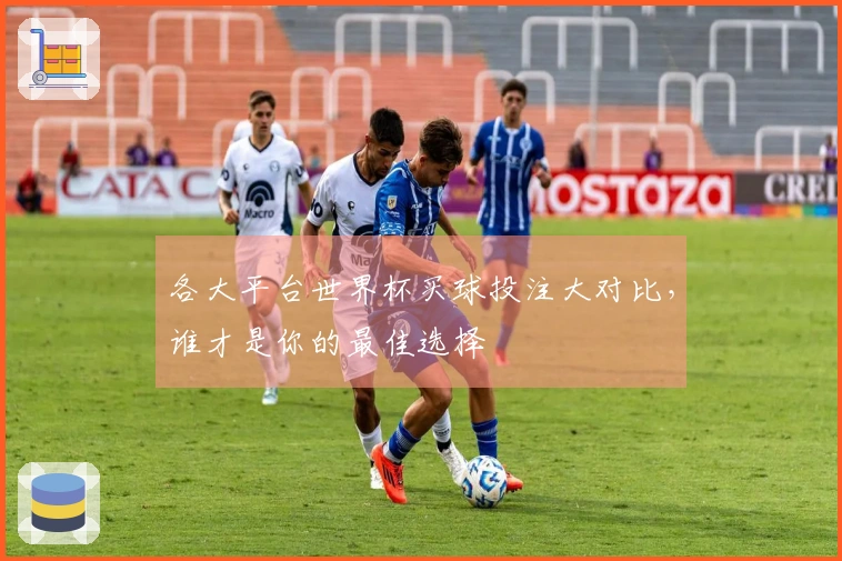 各大平台世界杯买球投注大对比，谁才是你的最佳选择
