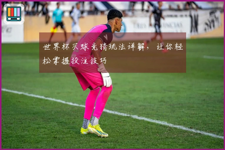 世界杯买球竞猜玩法详解，让你轻松掌握投注技巧
