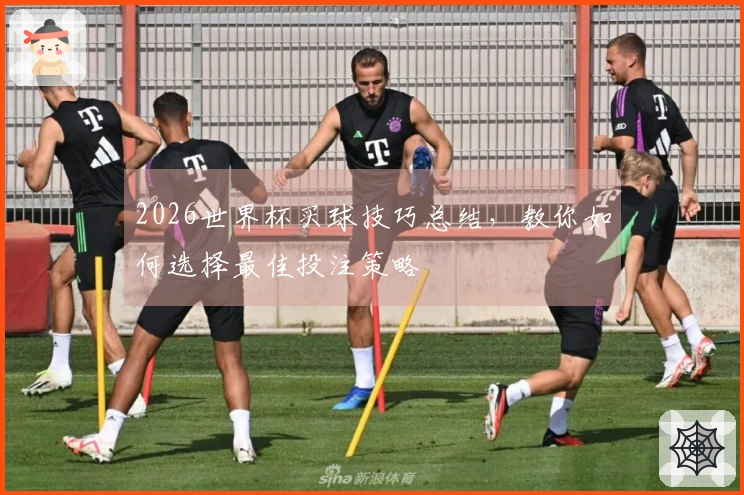 2026世界杯买球技巧总结，教你如何选择最佳投注策略