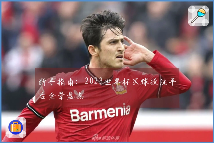 新手指南：2023世界杯买球投注平台全景盘点