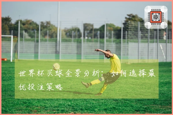 世界杯买球全景分析：如何选择最优投注策略
