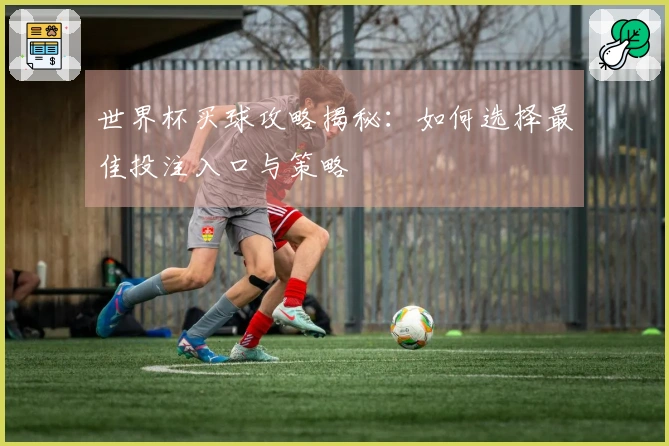 世界杯买球攻略揭秘：如何选择最佳投注入口与策略