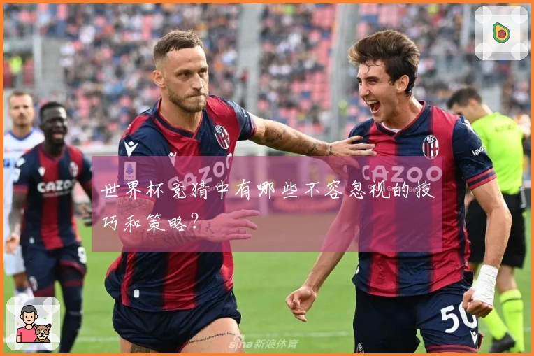 世界杯竞猜中有哪些不容忽视的技巧和策略？