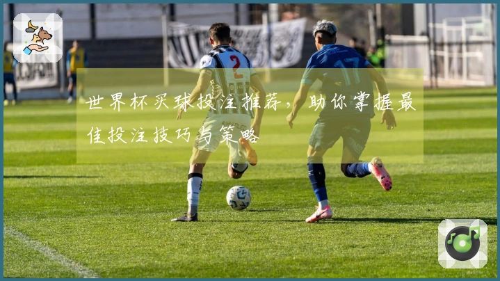 世界杯买球投注推荐，助你掌握最佳投注技巧与策略